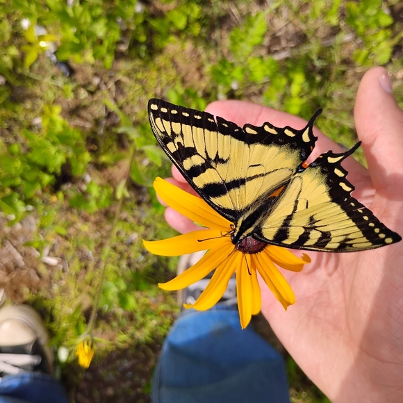 Meet your Posher, Jean - Picture 1 of 1